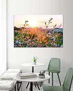 Obraz Na zelenej lúke 1879